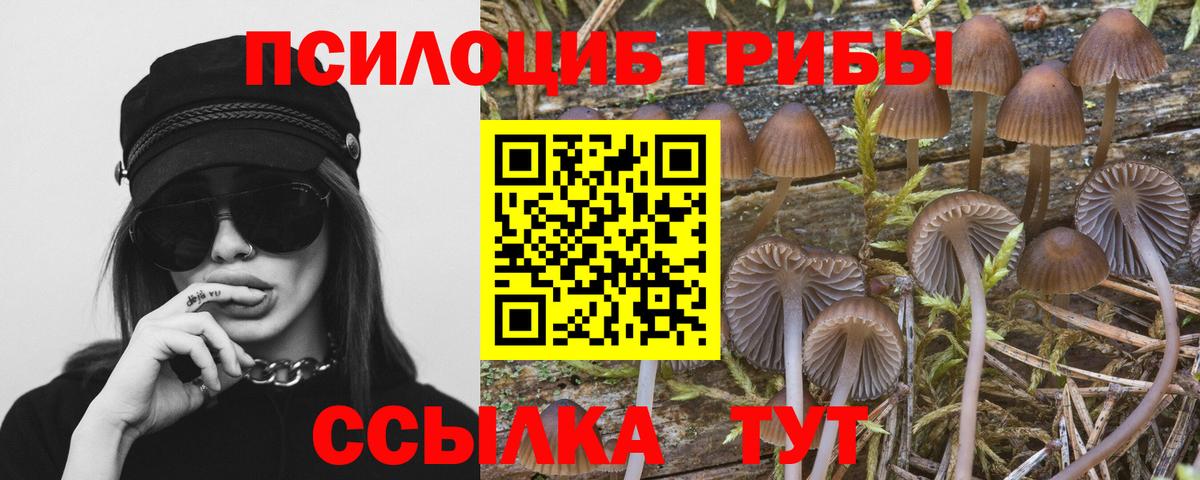 Арсеньев  Галлюциногенные грибы мицелий  Вход с VPN 