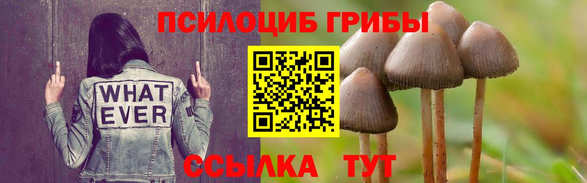 Галлюциногенные грибы мухоморы Арсеньев